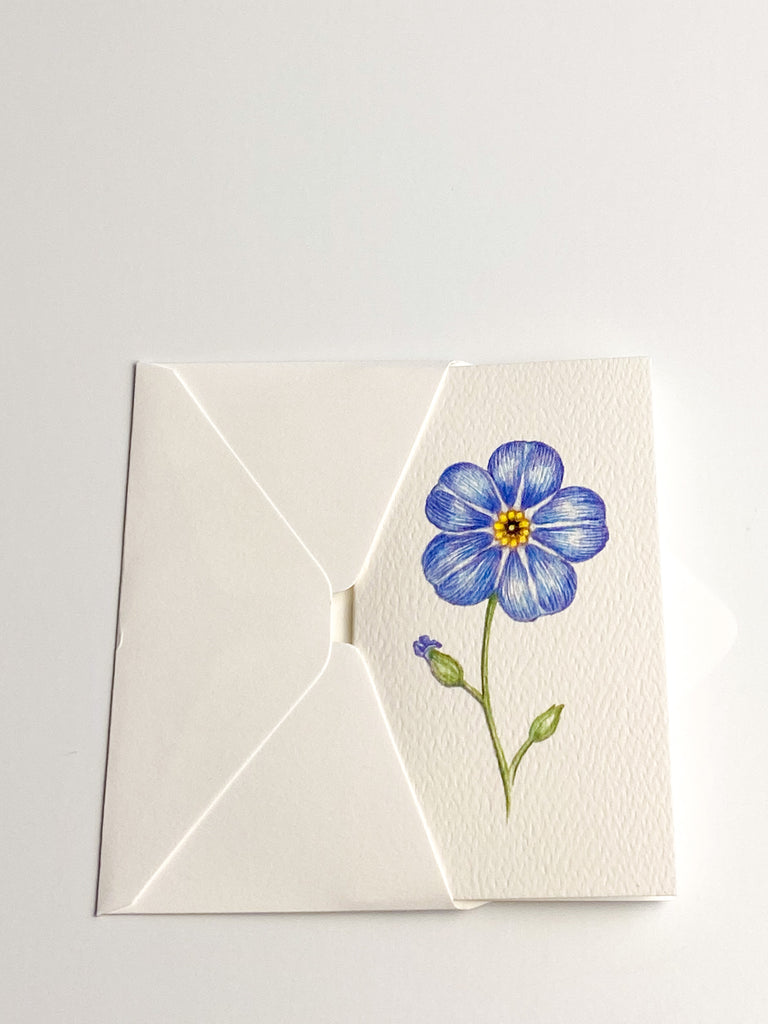 Garden Mini Card Set - Forget-Me-Not Floral
