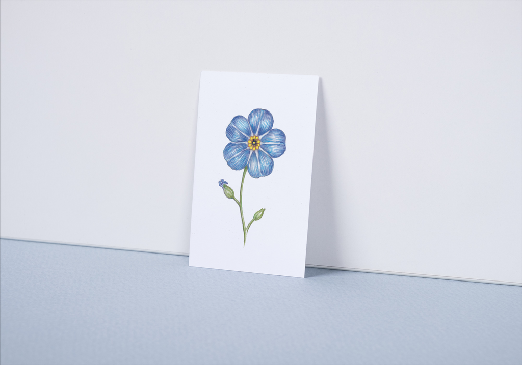 Garden Mini Card Set - Forget-Me-Not Floral