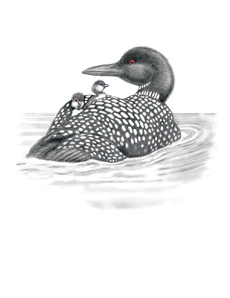 Loon + Littles - Boxed Notecard Set