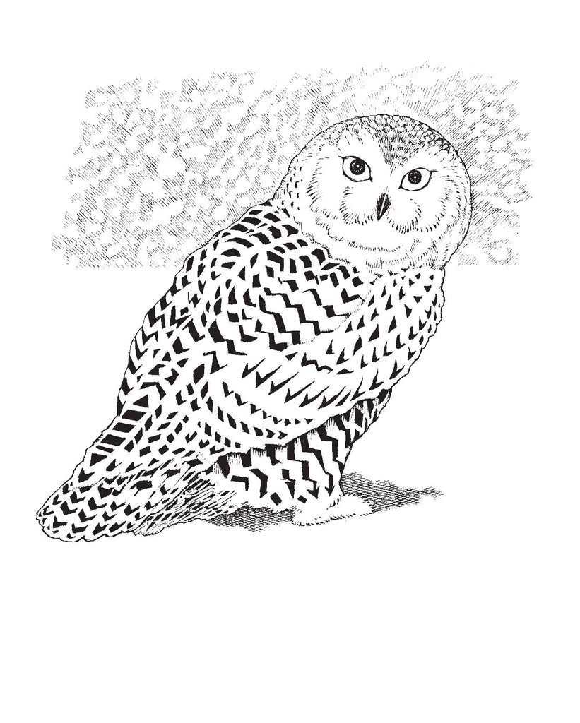 Snowy Owl - Christmas card