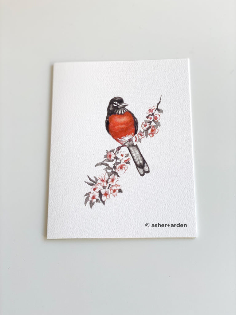 spring robin notecards