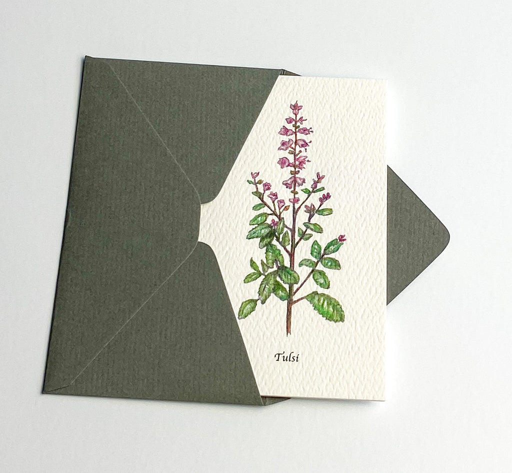 Garden Mini Card Set - Tulsi Botanical Floral