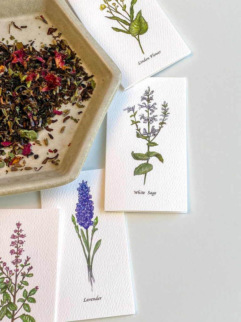 Garden Mini Card Set - White Sage Botanical Floral