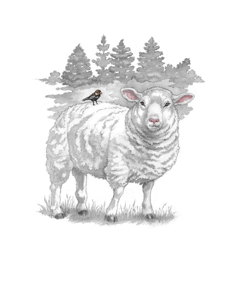 Farm Friends Sheep - Friendship Card