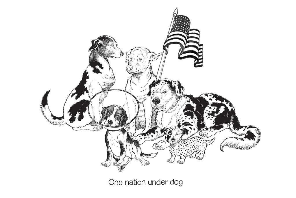 Image of a hand drawn in pen + Ink group of dogs 