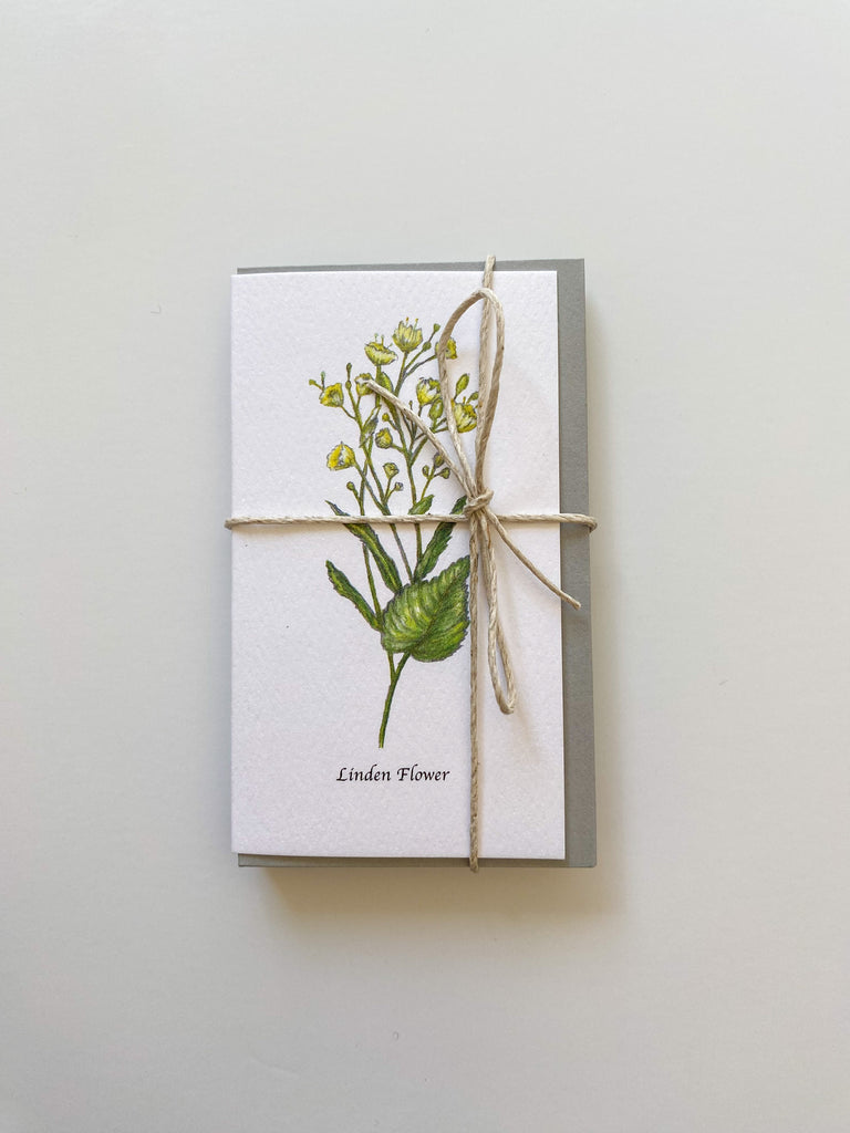 Garden Mini Card Set - Linden Botanical Floral