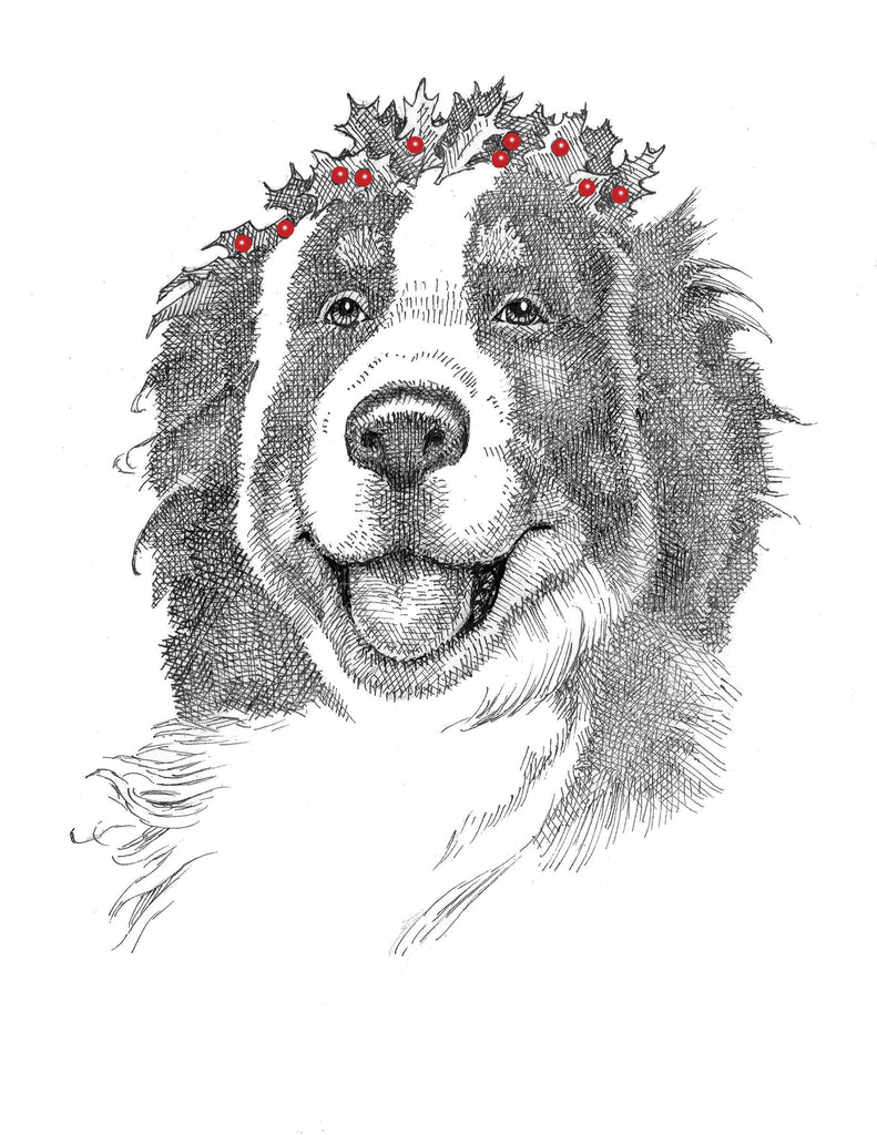 Bernese Mountain Dog - holiday card
