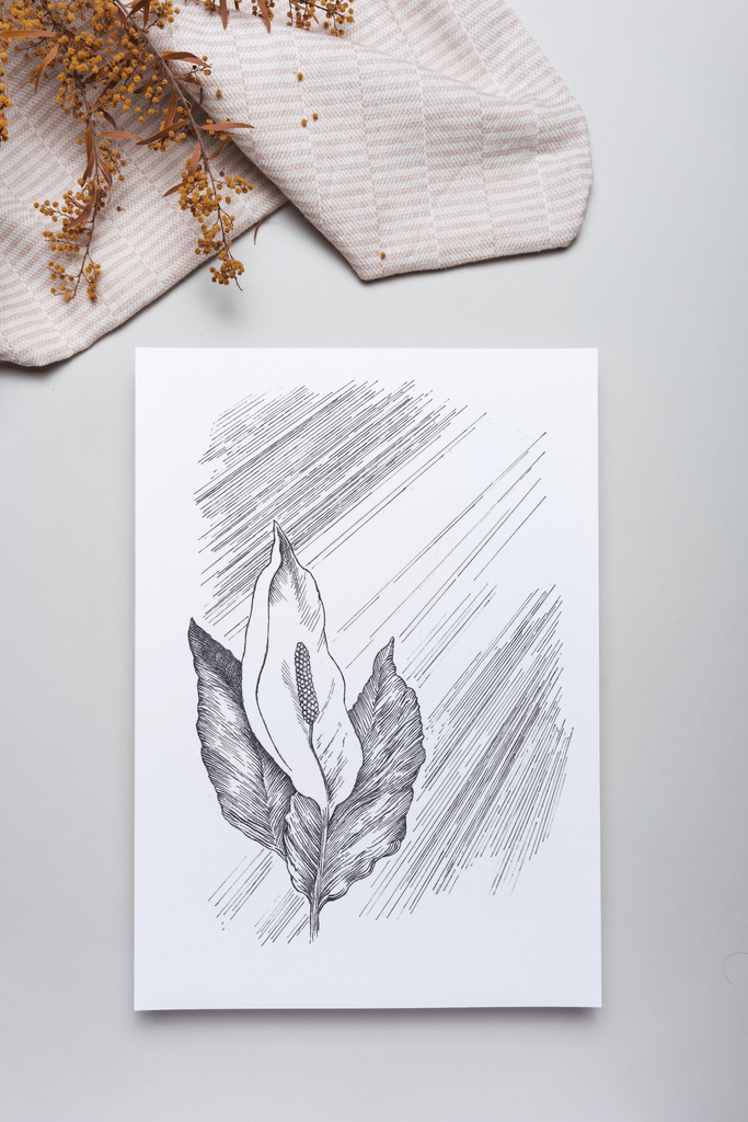 Peace Lily - Sympathy Card