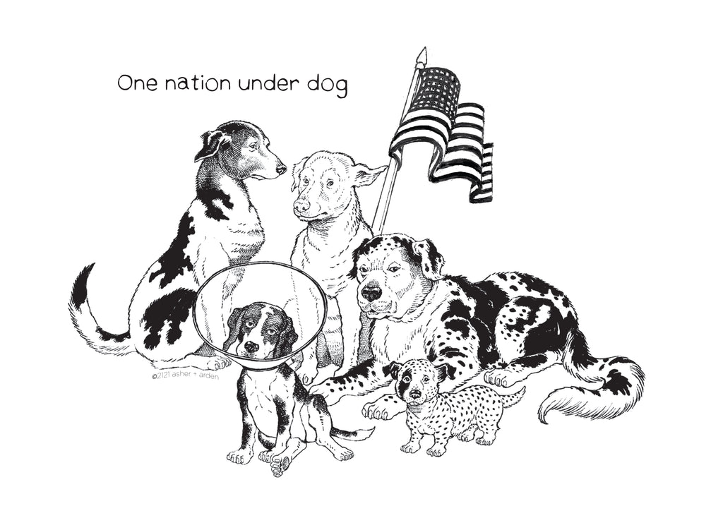 One Nation - fine art print