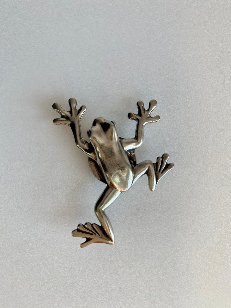 pewter frog - magnet