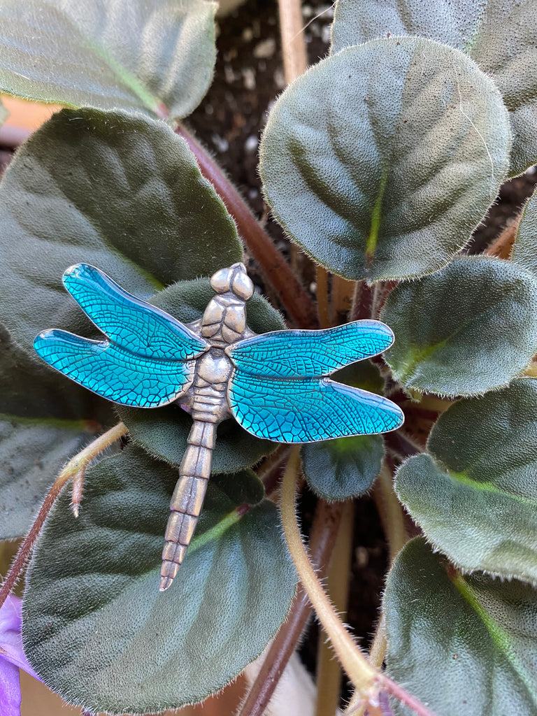 dragonfly - magnet