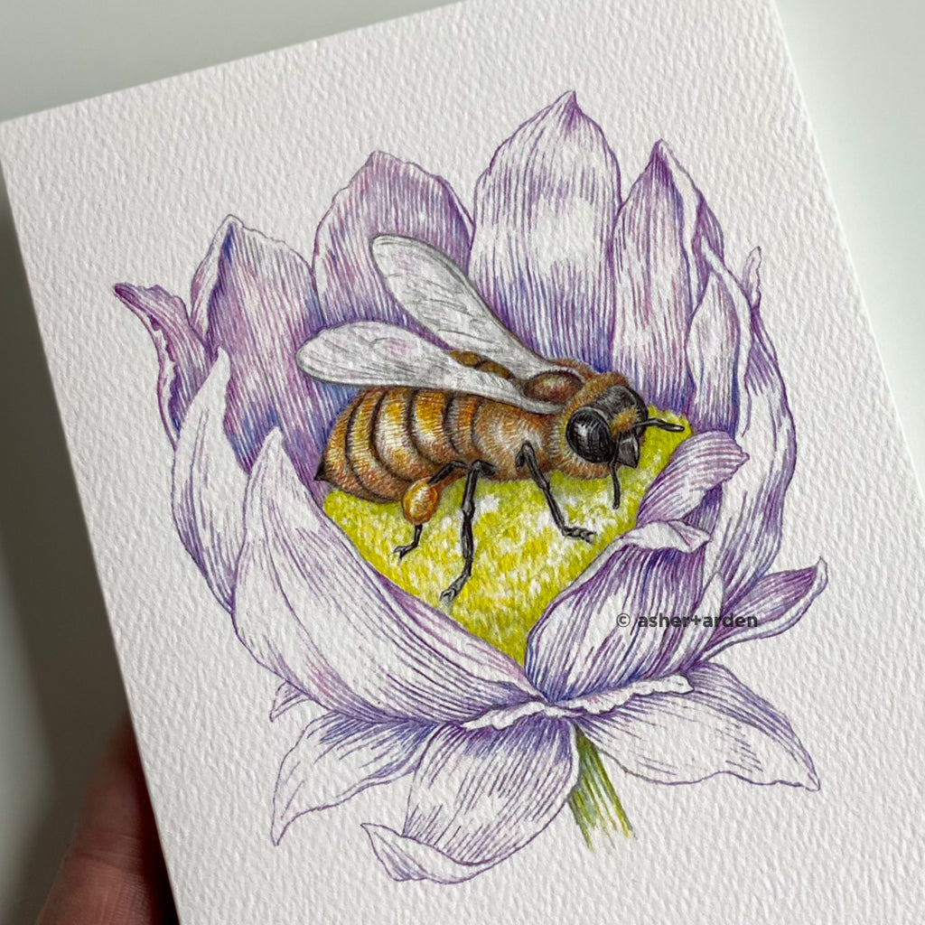 Garden Pollinator Bee Notecards