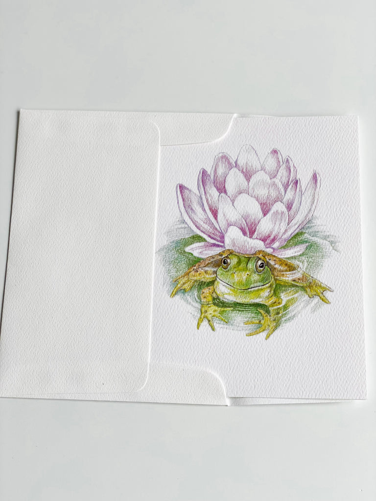 Garden Waterlily Frog - Boxed Set