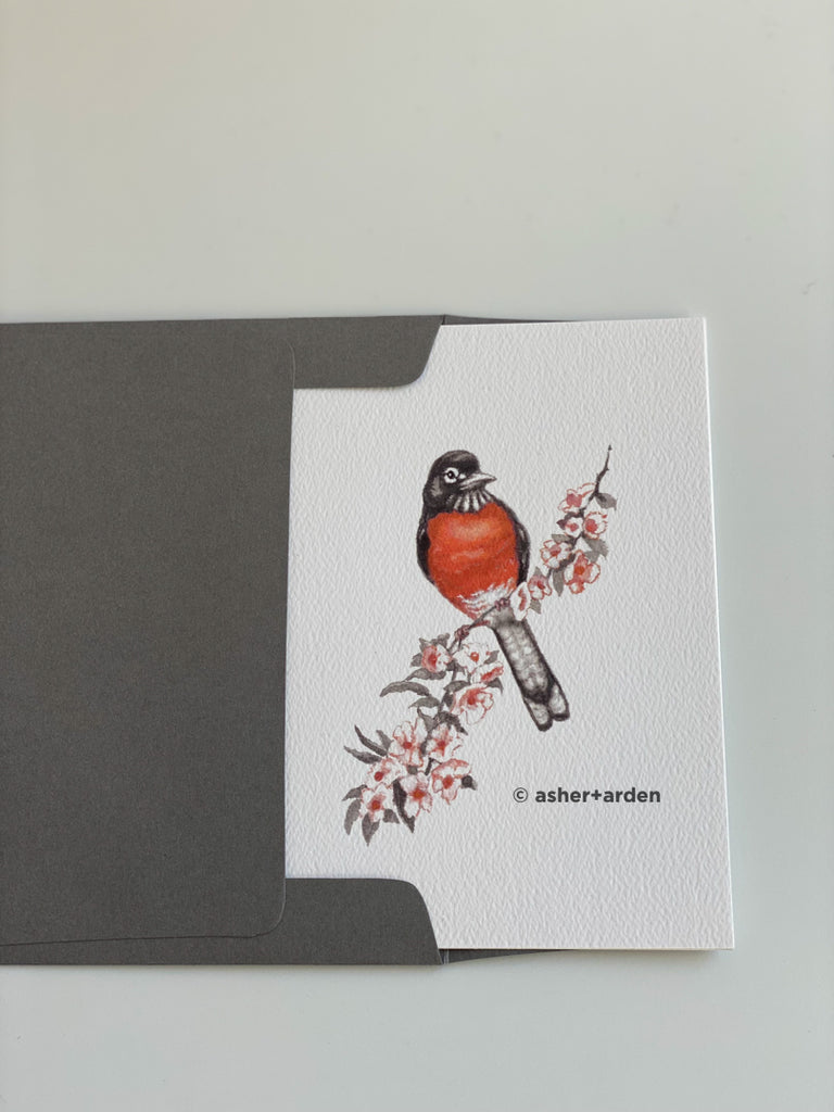 spring robin notecards