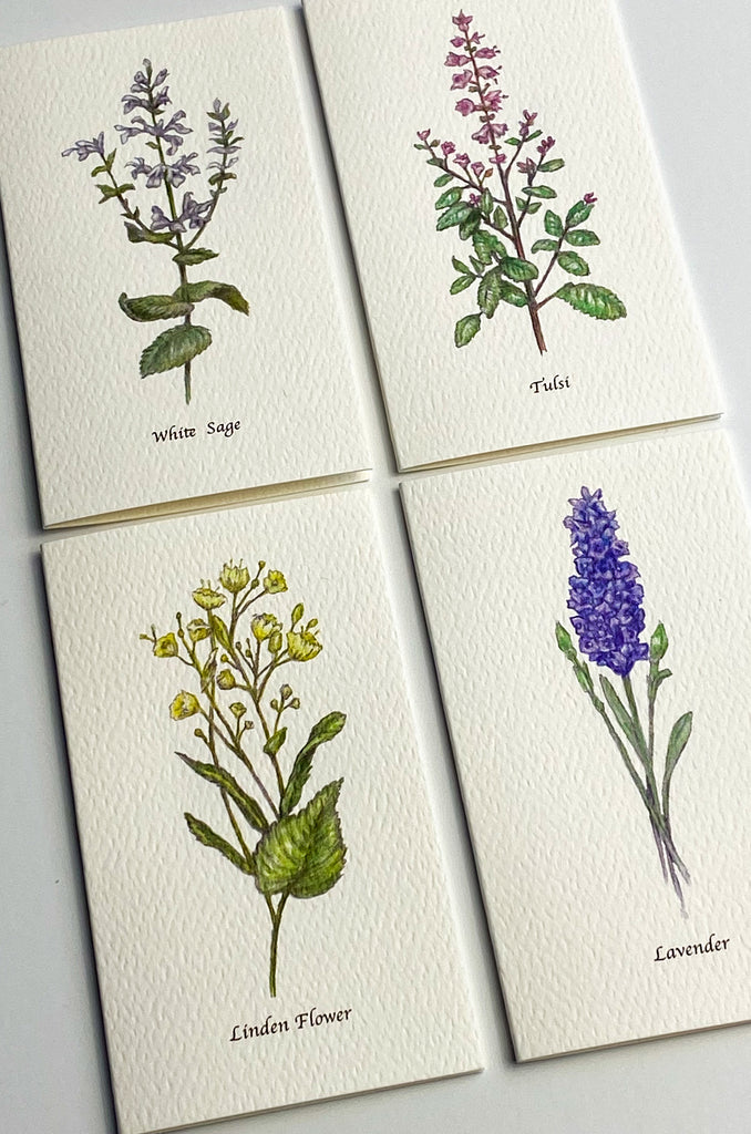 Garden Mini Card Set - White Sage Botanical Floral