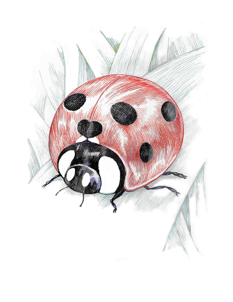 Ladybug Hearts - Friendship Card