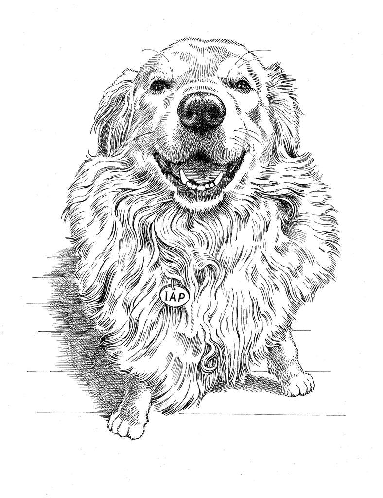 Golden Retriever Dog - Birthday Card
