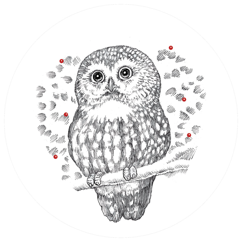 Little Owl - holiday cards