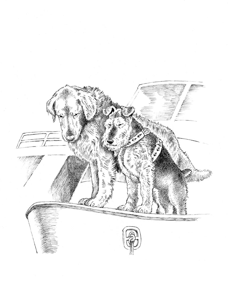 Nautical Dog - Friendship Card