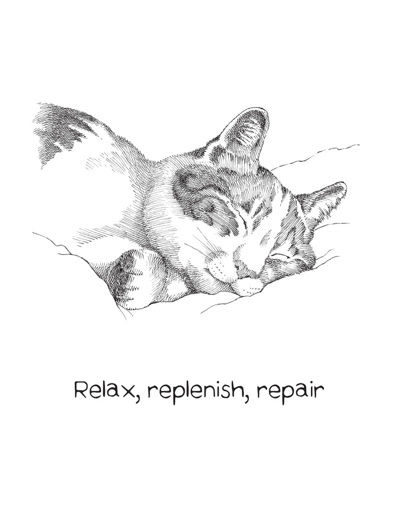 Tabby Cat - Encouragement Card