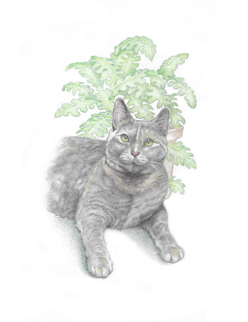 Garden Shed Cat - Notecards